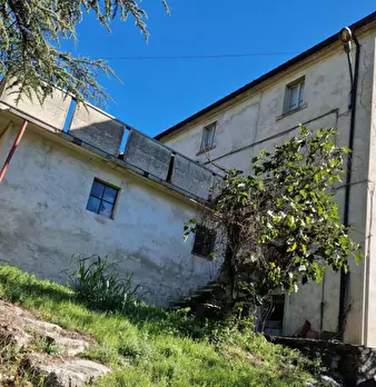 Foto annuncio 18