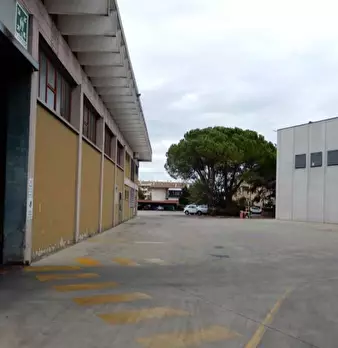 Foto annuncio 7