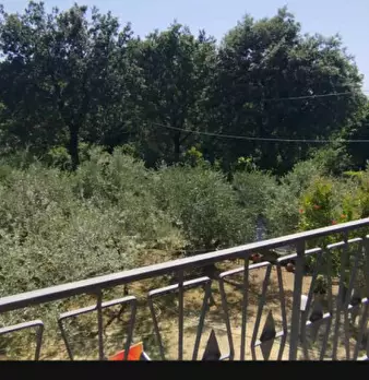 Foto annuncio 4