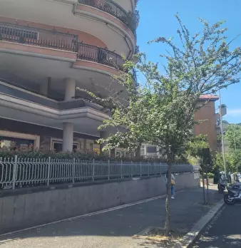Foto annuncio 35