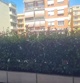 Foto annuncio 36
