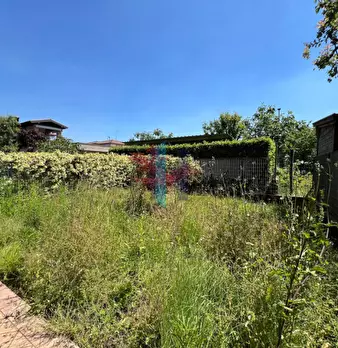Foto annuncio 9