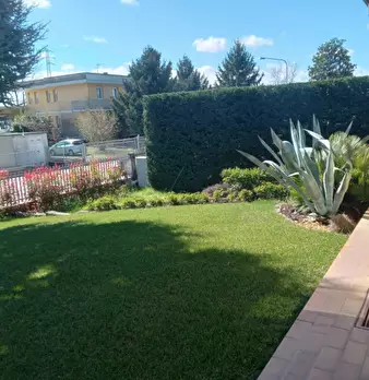 Foto annuncio 36