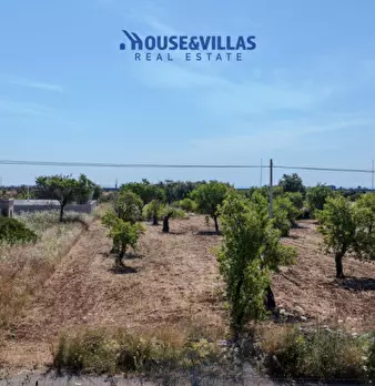 Foto annuncio 9