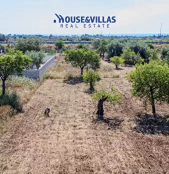 Foto annuncio 18
