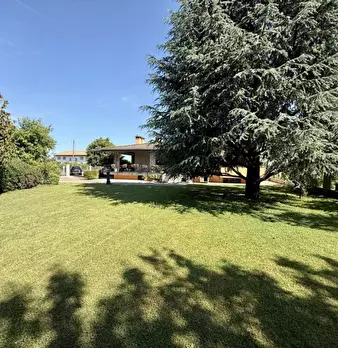 Foto annuncio 32