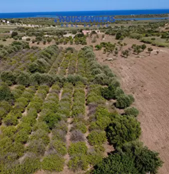 Foto annuncio 6