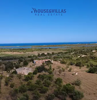 Foto annuncio 9