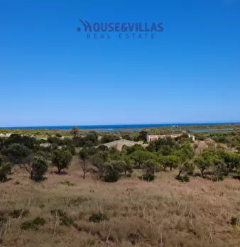 Foto annuncio 10