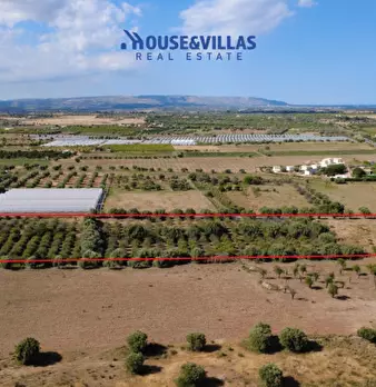 Foto annuncio 17