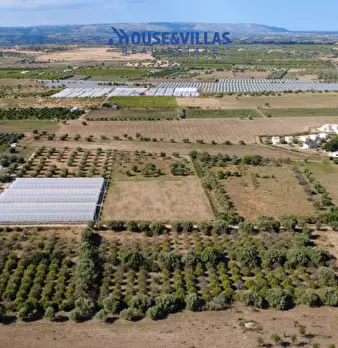 Foto annuncio 18
