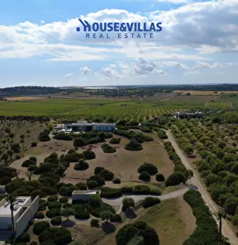 Foto annuncio 19