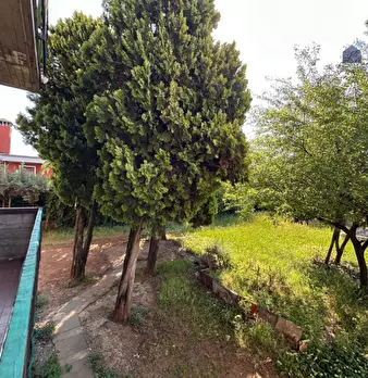 Foto annuncio 10