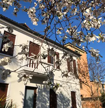 Foto annuncio 1