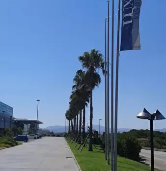 Foto annuncio 11