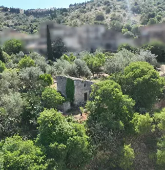 Foto annuncio 1