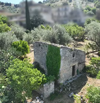 Foto annuncio 2