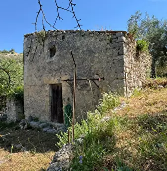Foto annuncio 5