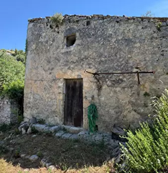 Foto annuncio 6