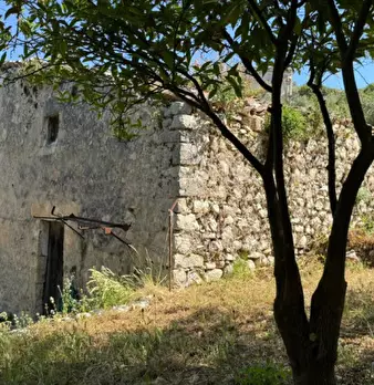 Foto annuncio 7