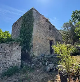 Foto annuncio 8