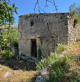 Foto annuncio 11