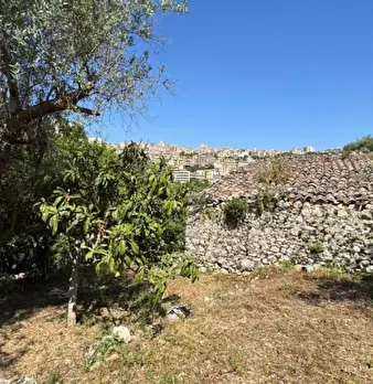 Foto annuncio 12