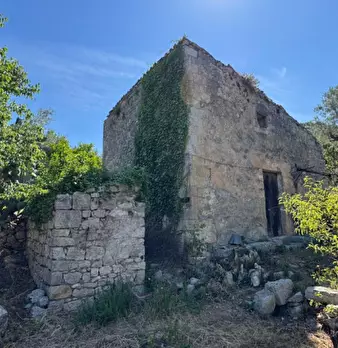 Foto annuncio 13