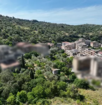 Foto annuncio 15