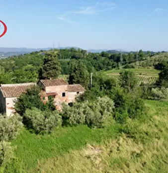 Foto annuncio 2