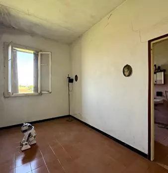 Foto annuncio 9