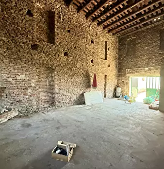Foto annuncio 12