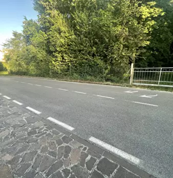 Foto annuncio 6