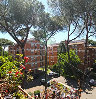 Foto annuncio 27