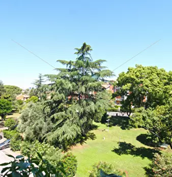 Foto annuncio 30