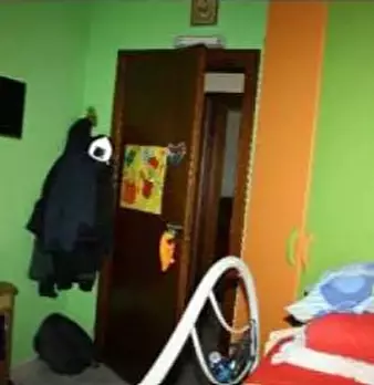 Foto annuncio 10