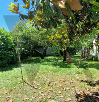Foto annuncio 29