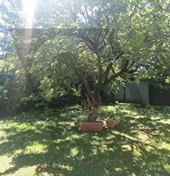 Foto annuncio 31