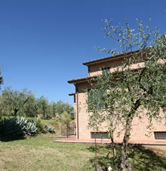 Foto annuncio 7