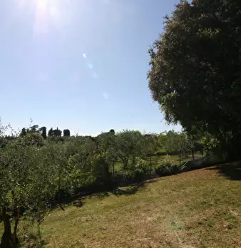 Foto annuncio 27