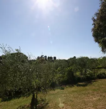 Foto annuncio 28