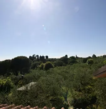 Foto annuncio 36