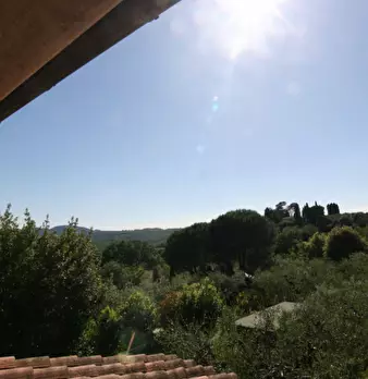 Foto annuncio 37