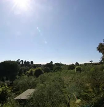Foto annuncio 38