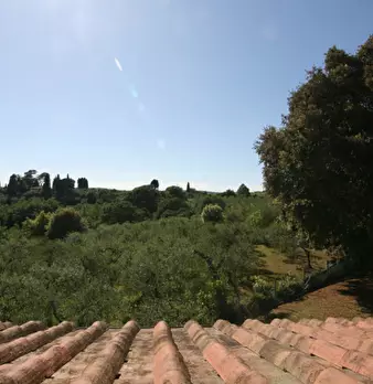 Foto annuncio 50
