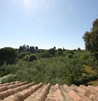 Foto annuncio 51