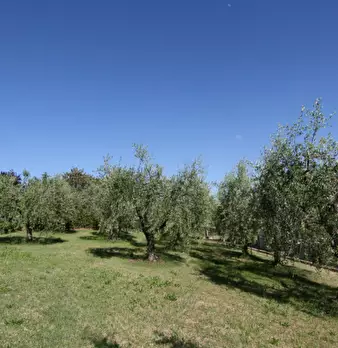 Foto annuncio 59