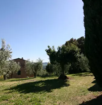 Foto annuncio 61