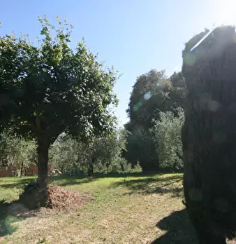 Foto annuncio 62