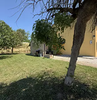 Foto annuncio 3